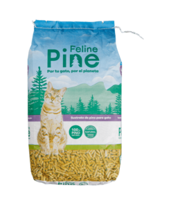 FELINE PINE AME ANIMAL 1