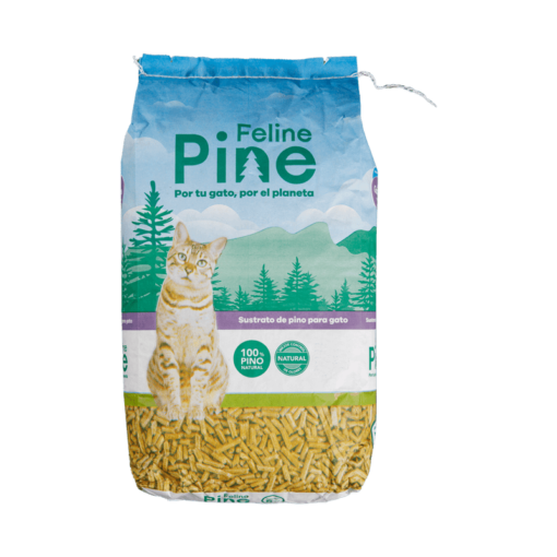 FELINE PINE AME ANIMAL 1