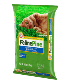 Feline-Pine-AMEANIMAL1