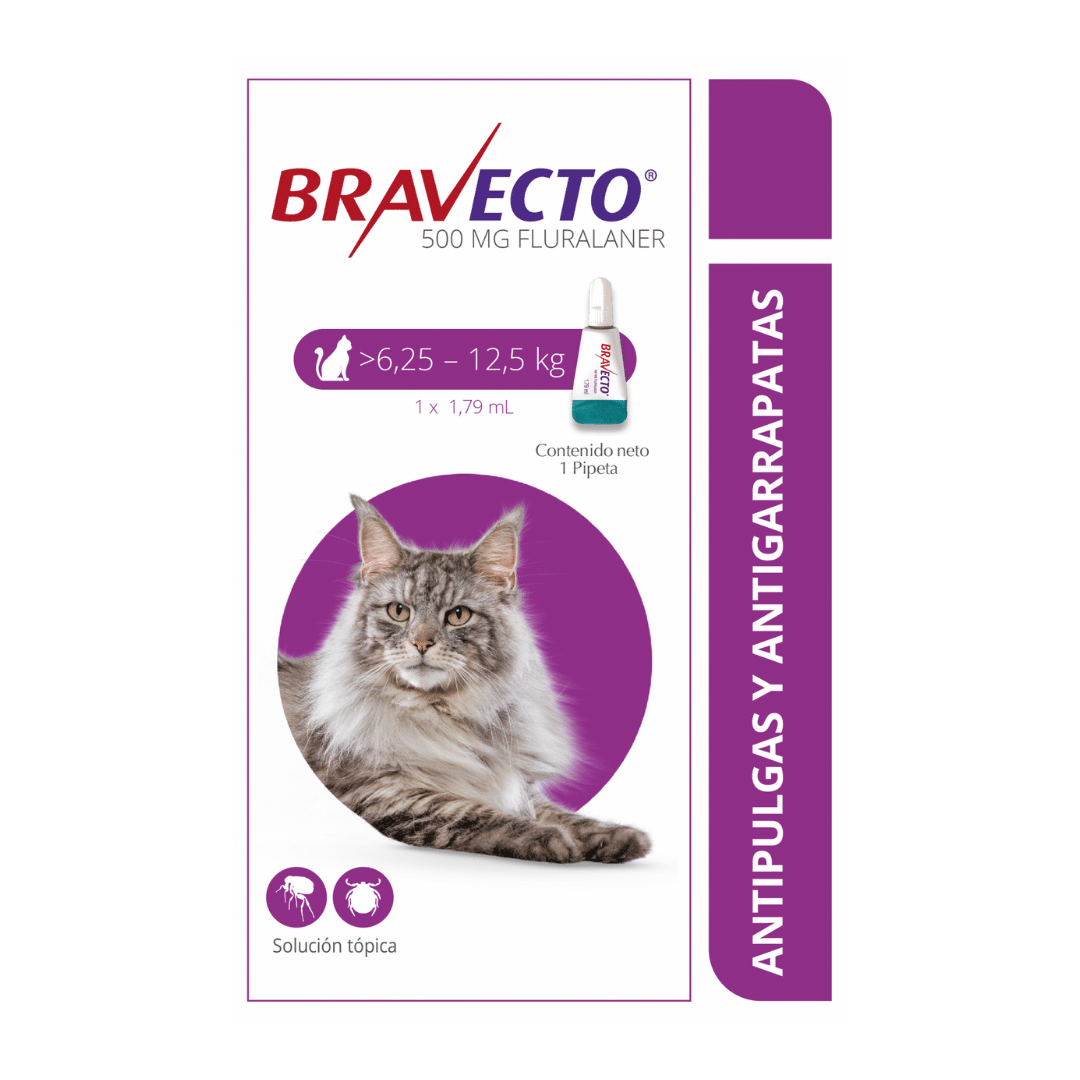 bravecto-spot-on.gato-6,25-AMEANIMAL1-CANV