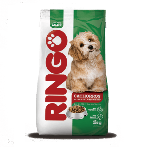 Ringo-cachorros-AMEANIMAL1