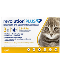 revolution-plus-pipeta-AMARILLO-AMEANIMAL1canva2