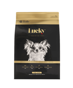 Lucky-adultos-razas-pequeñas-AMEANIMAL1