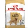 Royalcanin-Goldenretriever-ameanimal1