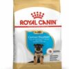 Royalcanin-Pastoralemanpuppy-ameanimal1