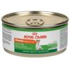 Royalcanin-adult-beauty-ameanimal1