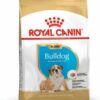 Royalcanin-bulldogpuppy-ameanimal1