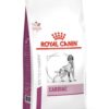 Royalcanin-dog-cardiaco