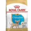 Royalcanin-chihuahuagpuppy-ameanimal1