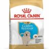 Royalcanin-goldenr-ameanimal1