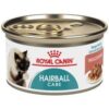 Royalcanin-hairball-care-wet-ameanimal1