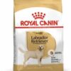 Royalcanin-labradorretriever-ameanimal1