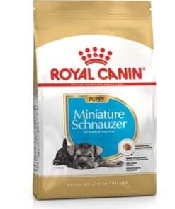 Royalcanin-miniature-schnauzer-puppy-ameanimal1