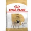 Royalcanin-pug-adulto-ameanimal1