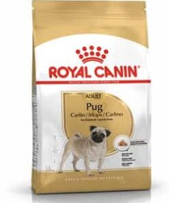 Royalcanin-pug-adulto-ameanimal1