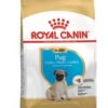 Royalcanin-pug-puppy-ameanimal1