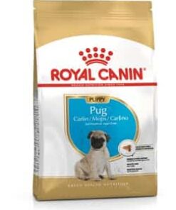 Royalcanin-pug-puppy-ameanimal1