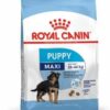 Royalcanin-puppy-maxi-ameanimal1