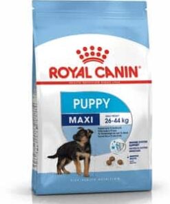 Royalcanin-puppy-maxi-ameanimal1