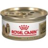 Royalcanin-shih-tzu-ameanimal1