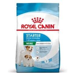 Royalcanin-starter-mamiandbaby-ameanimal1