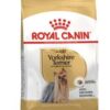 Royalcanin-yorkshire-adult-ameanimal1