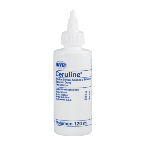 ceruline-ameanimal1