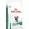 Royal canin saciety-ameanimal1