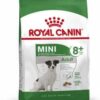 royalcanin-adulto-mini8+-ameanimal1