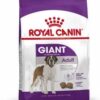 royalcanin-giant-ameanimal1