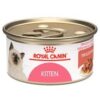 royalcanin-kitte-humedo-ameanimal1