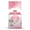 royalcanin-kitten-ameanimal1