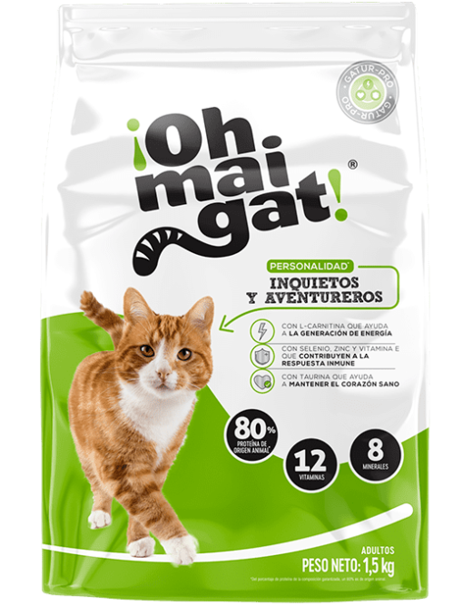 Ohmaigat-inquietos-y-aventureros-ameanimal1